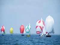 regata2090509 28