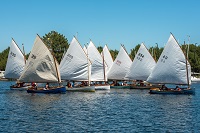 les monotypes du bassin 14