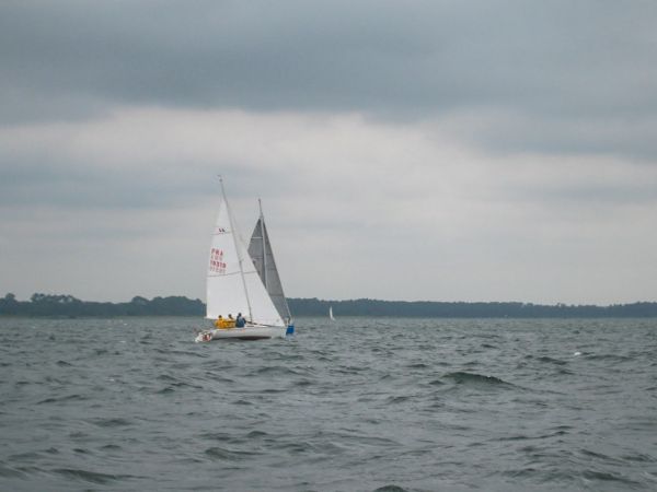 Femme à la barre – photo 22