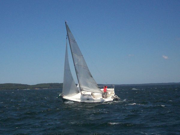 La solitaire – photo 61