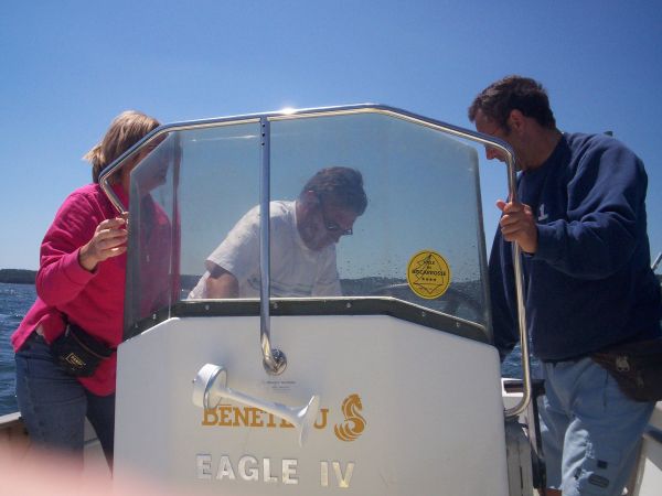 La solitaire – photo 4