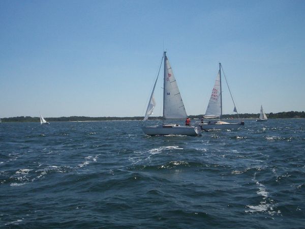 La solitaire – photo 59
