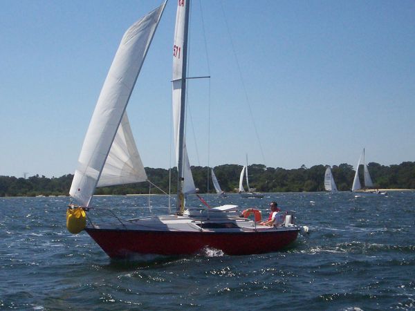 La solitaire – photo 66