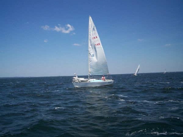 La solitaire – photo 51