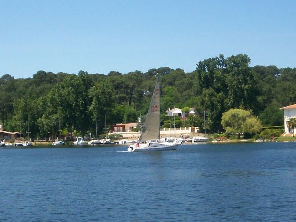 La solitaire – photo 38