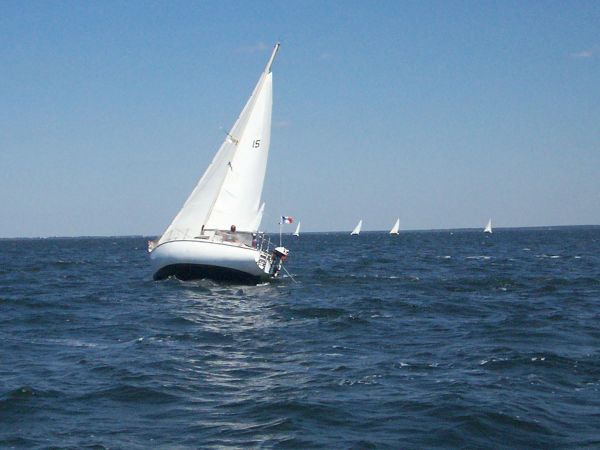 La solitaire – photo 74