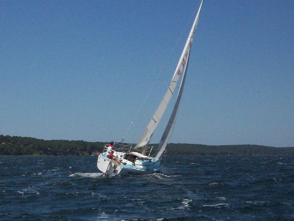 La solitaire – photo 3