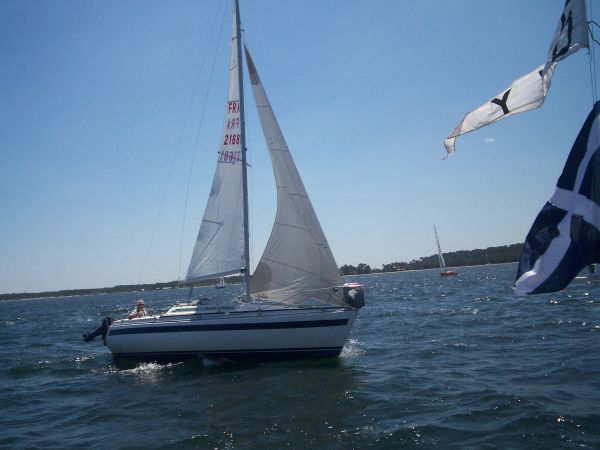 La solitaire – photo 69