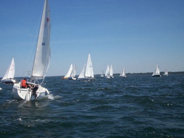 La solitaire – photo 72