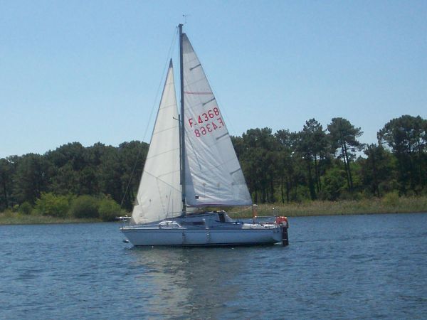 La solitaire – photo 39