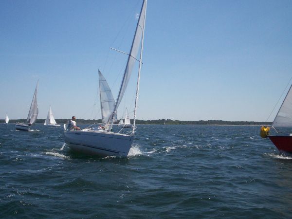 La solitaire – photo 67