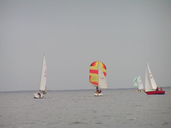 Championnat d'automne – photo 69