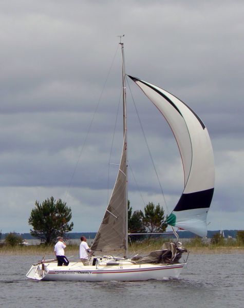Régate d'été – photo 28