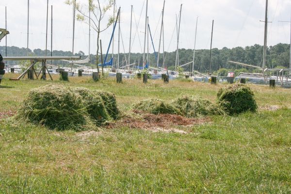 Opération néttoyage – photo 19