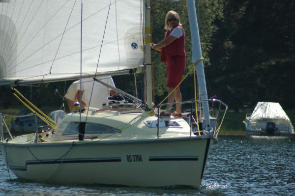 Championnat de printemps – photo 4