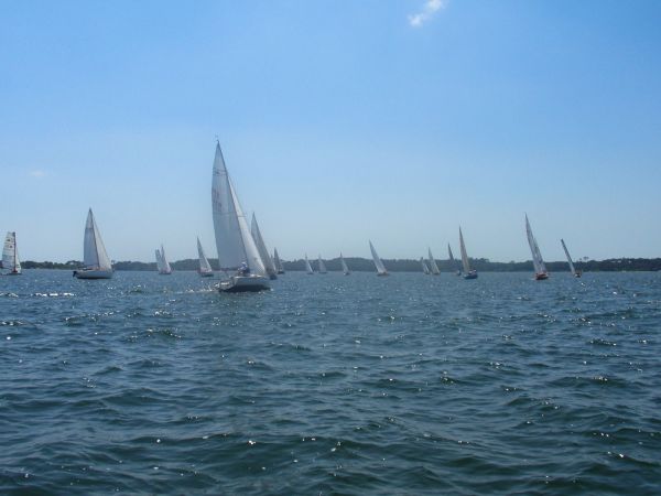 La solitaire – photo 21