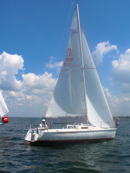 La solitaire – photo 14