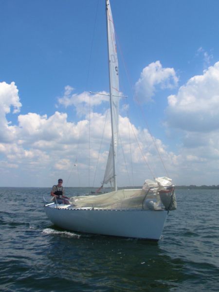 La solitaire – photo 13