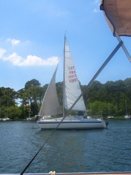 La solitaire – photo 4