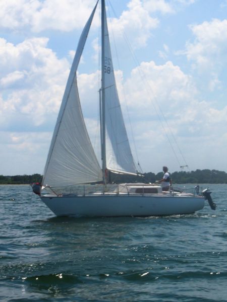 La solitaire – photo 20