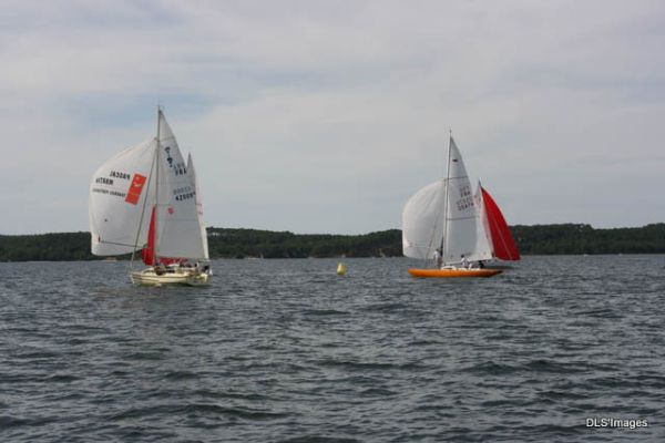 Trophee foncia – photo 83