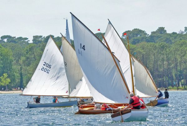 Monotypes du bassin – photo 40