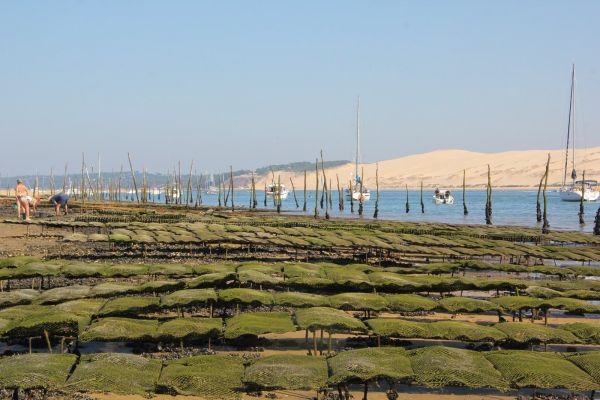 Sortie bac à voile – photo 65