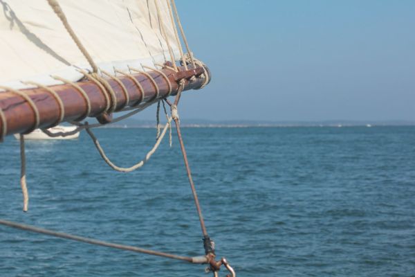 Sortie bac à voile – photo 46