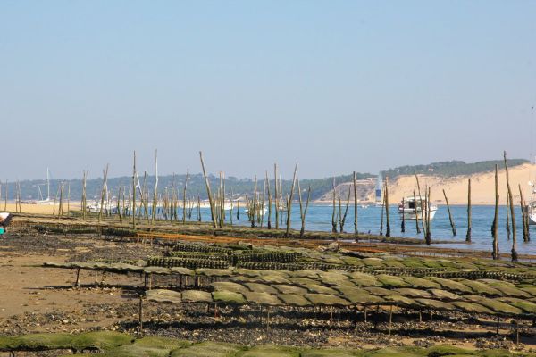 Sortie bac à voile – photo 66