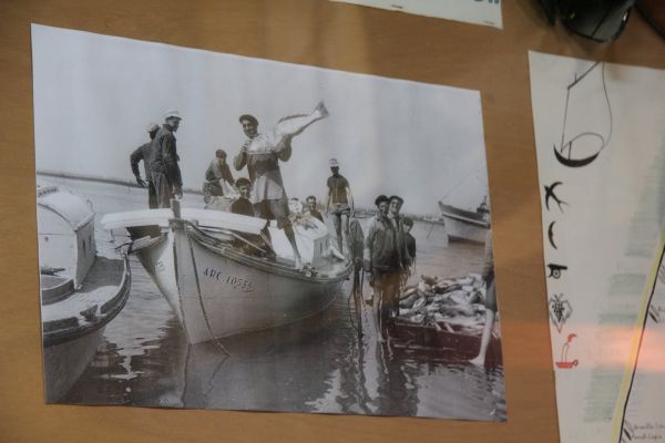 Sortie bac à voile – photo 81
