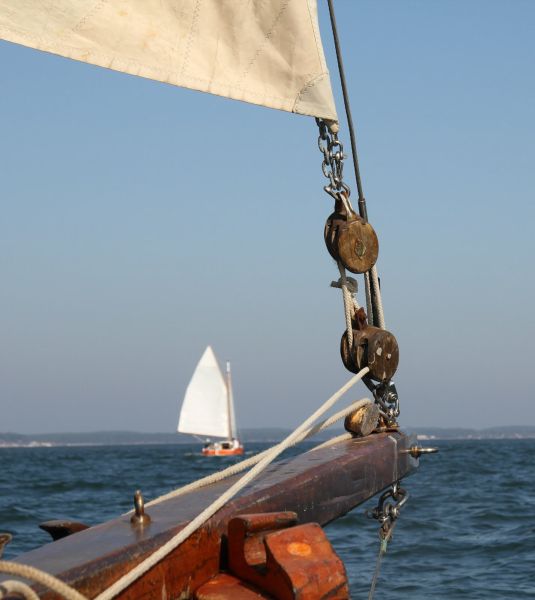 Sortie bac à voile – photo 36