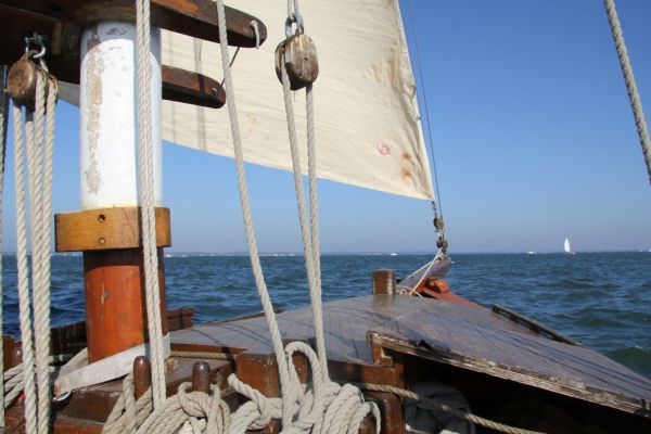 Sortie bac à voile – photo 27
