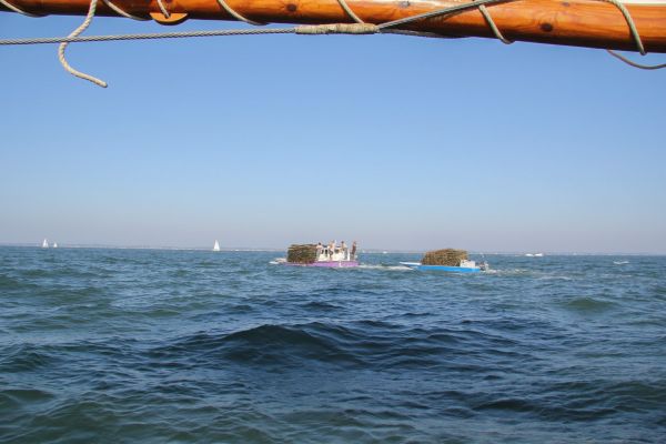 Sortie bac à voile – photo 22