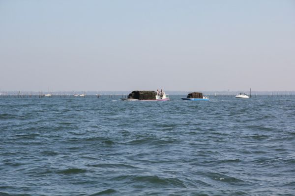 Sortie bac à voile – photo 20