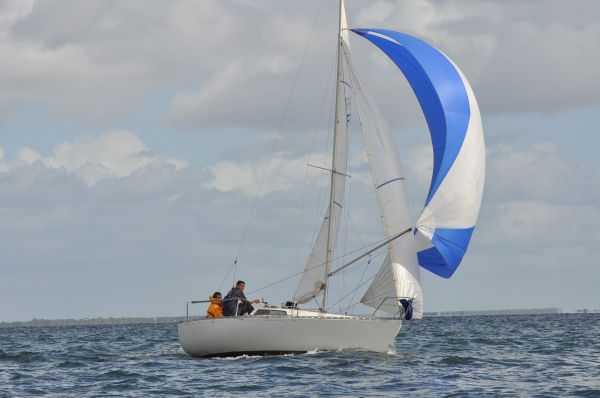 Coupe d'aquitaine – photo 100