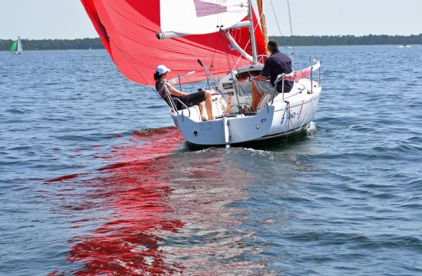 Coupe du président – photo 69
