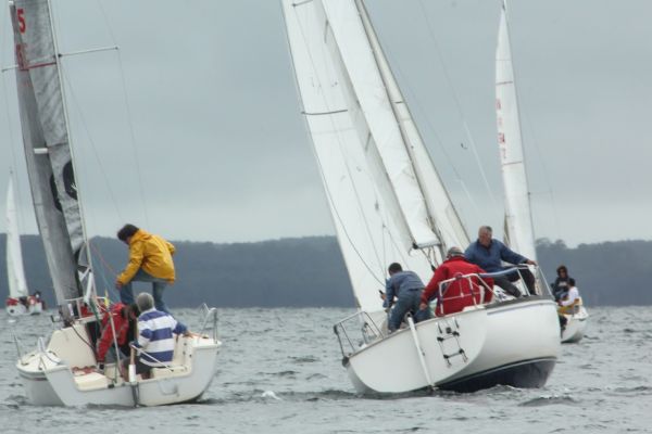 Coupe leclerc – photo 82