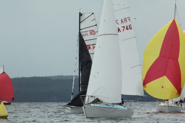 Coupe leclerc – photo 74