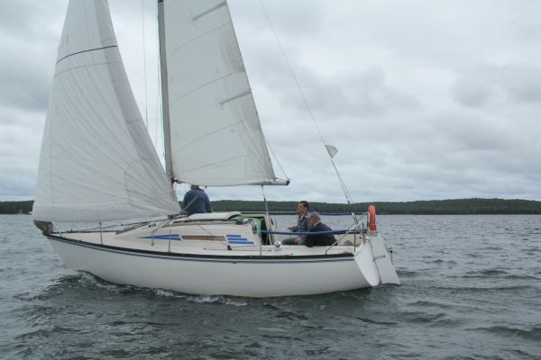 Coupe leclerc – photo 9