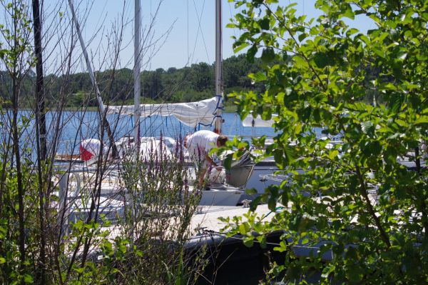 La solitaire – photo 4