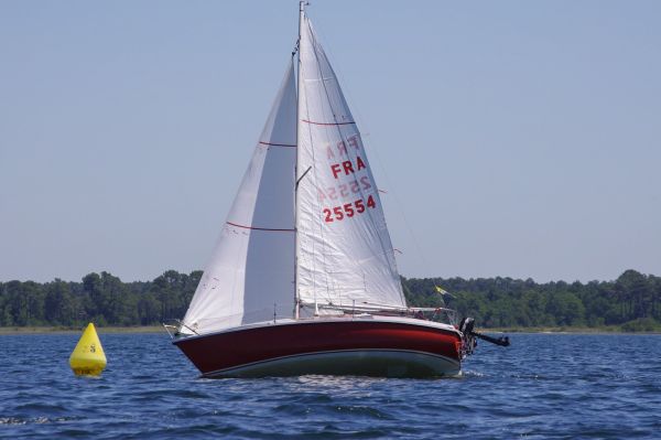 La solitaire – photo 47