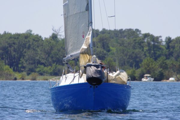 La solitaire – photo 40