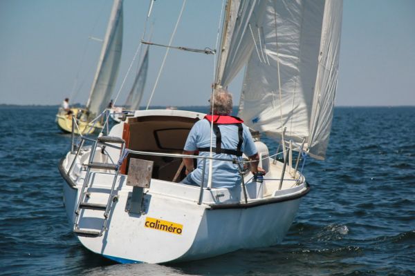 La solitaire – photo 134