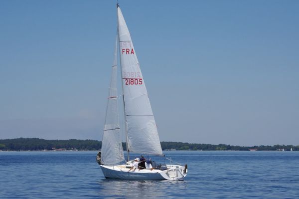 La solitaire – photo 70