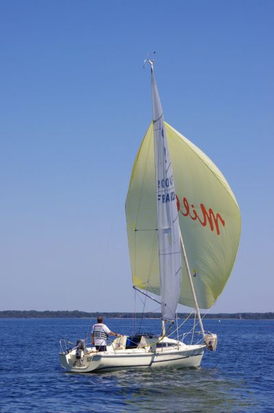La solitaire – photo 102