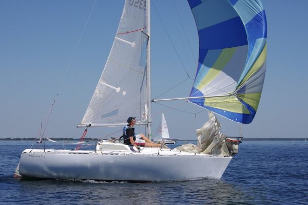La solitaire – photo 96