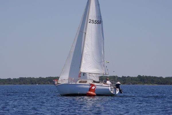 La solitaire – photo 62