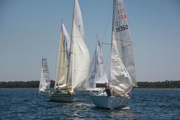 La solitaire – photo 129