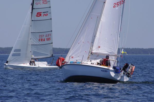La solitaire – photo 46