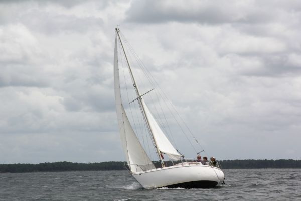 ACE femme à la barre – photo 27
